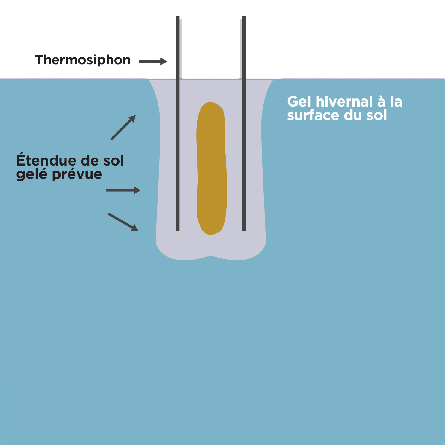 Cette figure représente une chambre d'arsenic après sa congélation, avec 2 lignes verticales parallèles représentant les thermosiphons situés à l'extérieur de la chambre. La zone représentant le sol est étiquetée «congélation en  hiver à la surface du sol». Un bloc représentant l'étendue prévue du sol gelé entoure la chambre et englobe les thermosiphons.